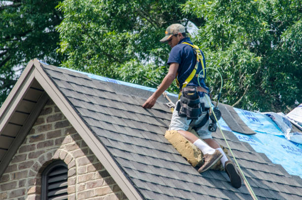 Best Shingle Roofing Installation  in The Meadows, FL
